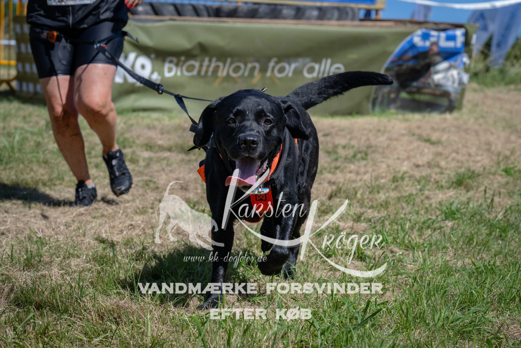 1253_ZZ97239 | kk-dogfotos