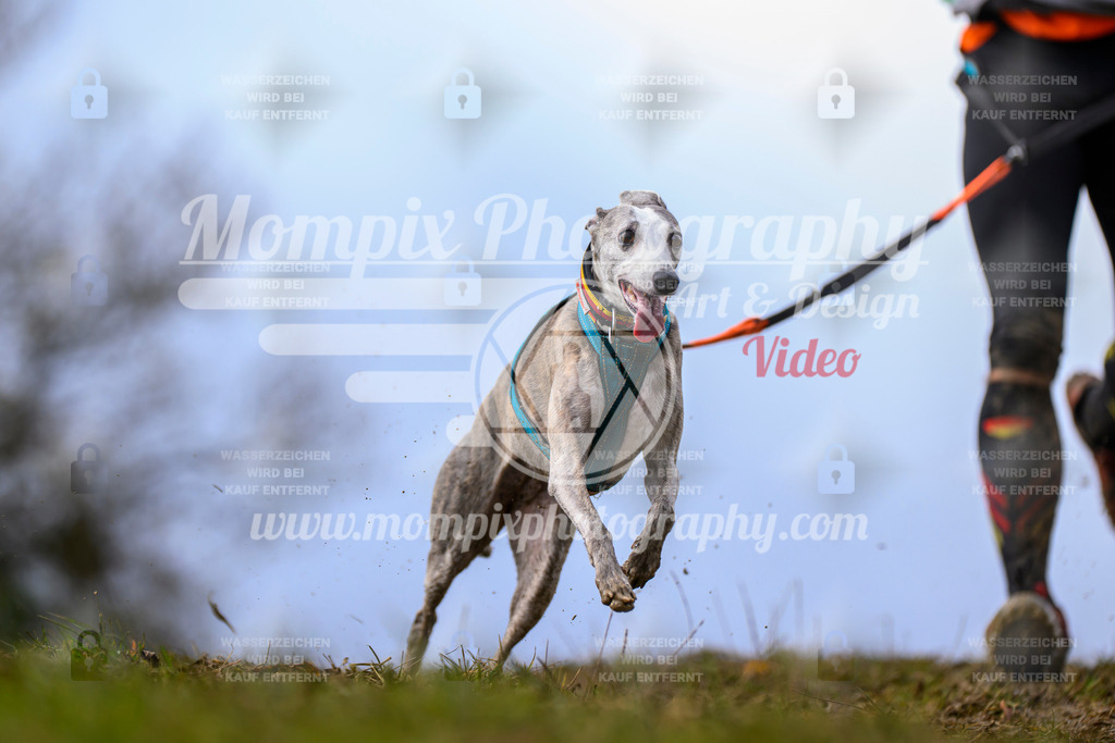 MompixPhotography_2OATB_SO_Run-26 | PayLife