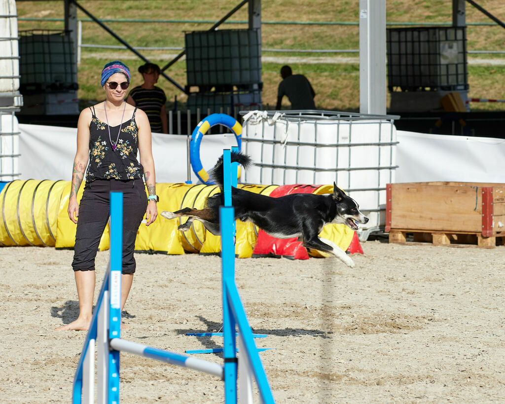 580B0081 | Peter Fridle Fotografie - Realisiert mit Pictrs.com