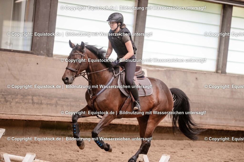 20250725_Vielseitigkeitslehrgang-Marbach_0444 | Foto: Thomas Hartig