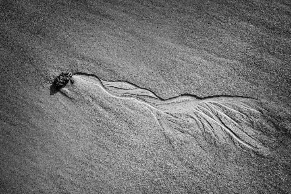 2024_03_08_HETLINGER SCHANZE_MCP7068 sw | Hochwertig gedruckte Fotografien für die Wand, als Kalender und zum Verschenken. Hamburg & Norddeutschland und überall wo ich mit der Kamera unterwegs war.