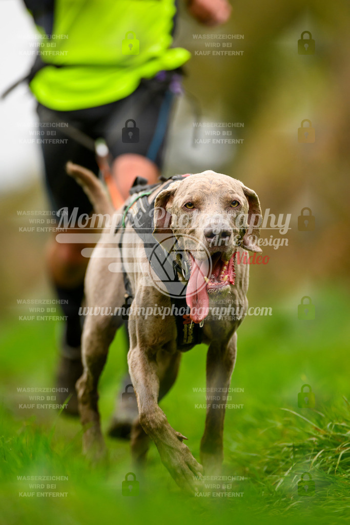 MompixPhotography_20TSB_E8_Run-134 | PayLife