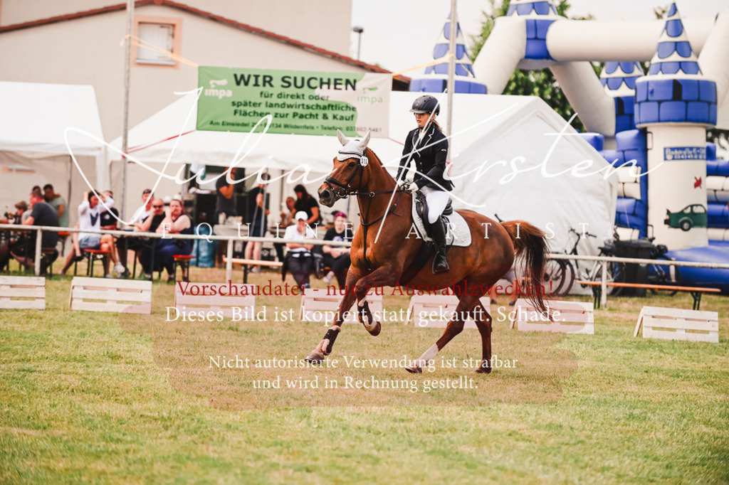DSC_6864 | Pferde- und Turnierfotografie in Westsachsen. Pferdeportraits, Auftragszeichnungen und intuitive Kunst.