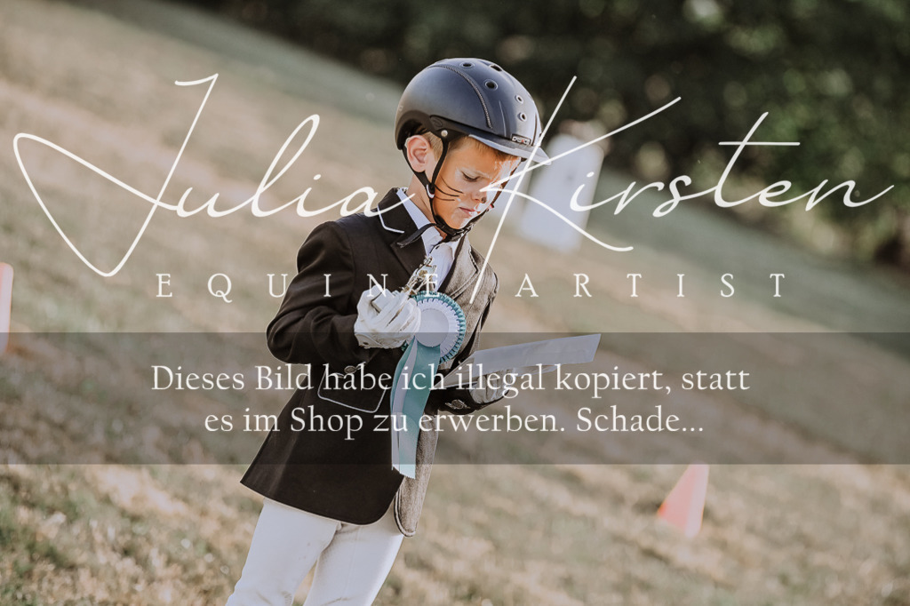 DSC_0245 | Pferde- und Turnierfotografie in Westsachsen. Pferdeportraits, Auftragszeichnungen und intuitive Kunst.