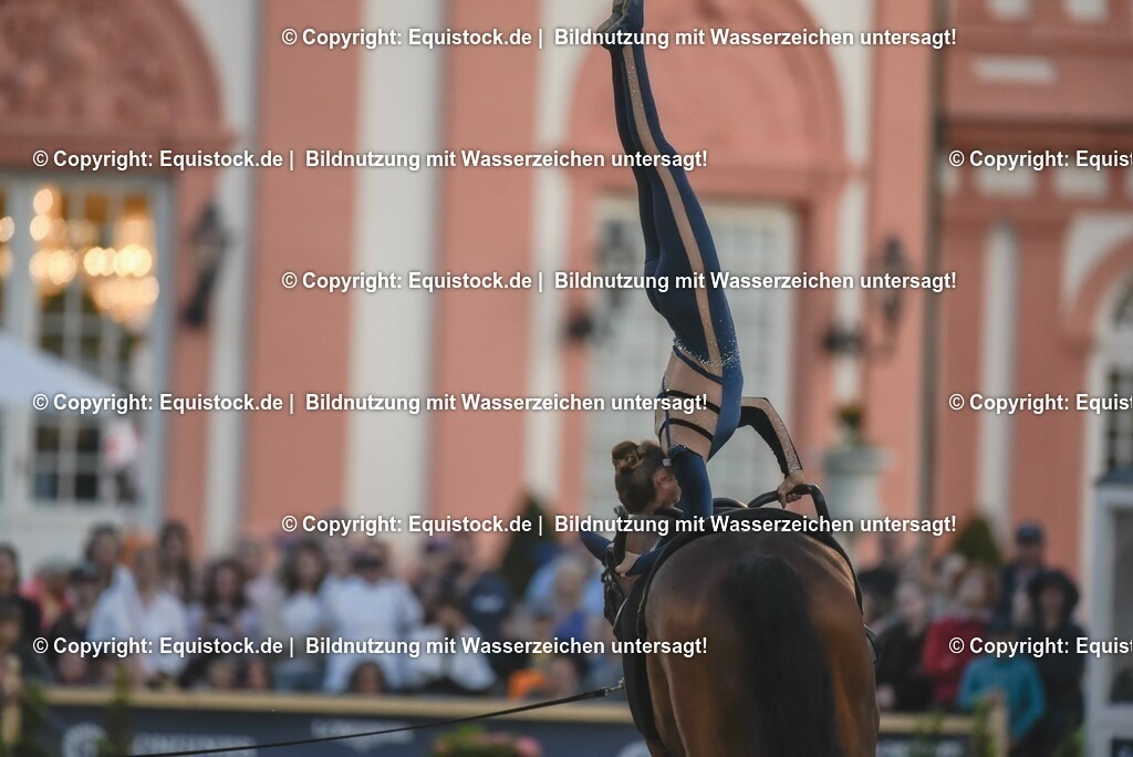 20230527_Voltigieren_NASPA_Flutlicht_0272 | equistock