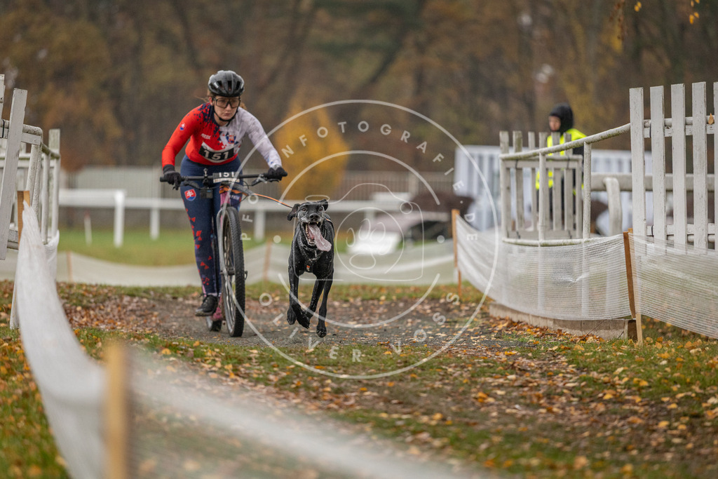CaniXpix_DV3A7825 | Hundefotografie, Tierfotograf, Pfotenfotografie, Fotoshooting Hund, Hunde Portrait, Hundesport, Hundeportraits, Heideshooting, Hunde, Sportfotograf, Hundefotograf, Turnierhundsport, THS,  - Realisiert mit Pictrs.com