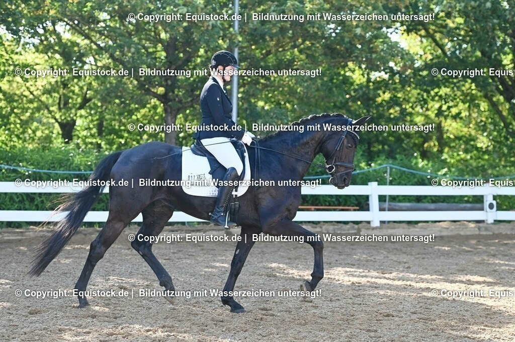 20230715_06_Dressurpferdeprfg. Kl.A_0017 | equistock