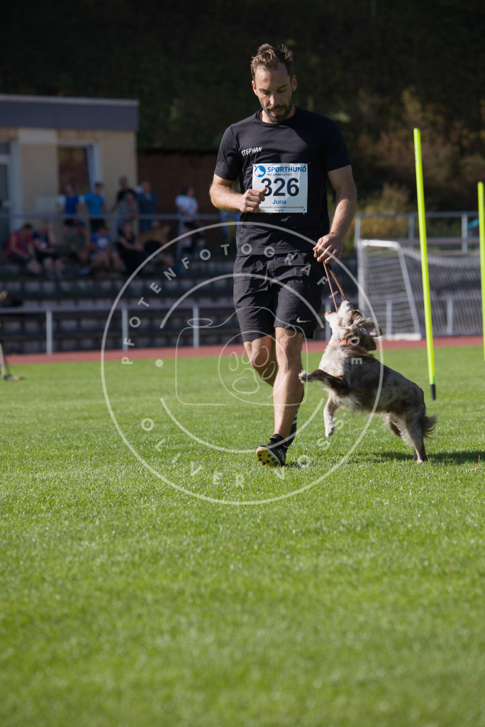 0L8A8563 | Hundefotografie, Tierfotograf, Pfotenfotografie, Fotoshooting Hund, Hunde Portrait, Hundesport, Hundeportraits, Heideshooting, Hunde, Sportfotograf, Hundefotograf, Turnierhundsport, THS,  - Realisiert mit Pictrs.com