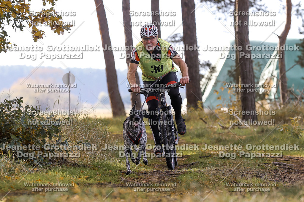 Dog Paparazzi - Elsholz 25 -124 | Dog Paparazzi Jeanette Grottendiek Fotografie & Videografie - Realisiert mit Pictrs.com