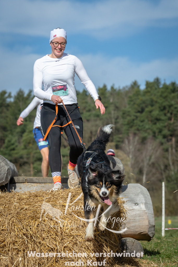 0948_ZZ96249 | kk-dogfotos