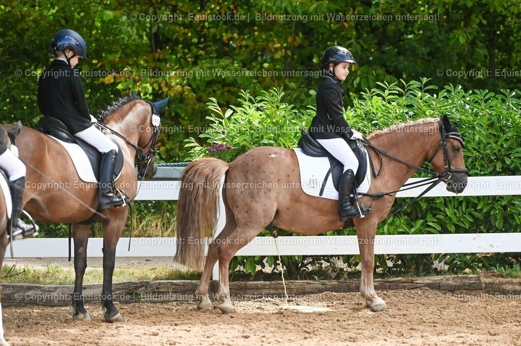 20230716_10-3_Reiter-WB Schritt - Trab - Galopp_0134 | equistock