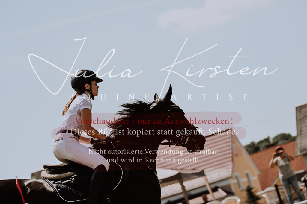 DSC_1024 | Pferde- und Turnierfotografie in Westsachsen. Pferdeportraits, Auftragszeichnungen und intuitive Kunst.