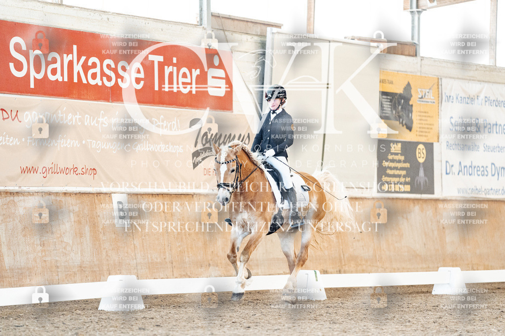CK907423 | Turnierfotografie Pferdefotografie Trier Rheinland-Pfalz Pferdesport Reitsport Tierfotografie Sportfotografie Pferdevideo Pferdevideografie Equestrianvideography equestrianphotography  - Realisiert mit Pictrs.com