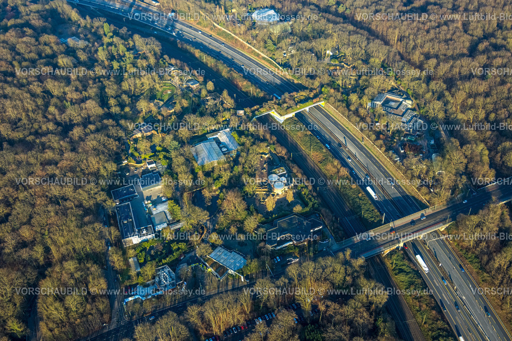 Duisburg241202547 | Luftbild, Zoo im Wald mit Grünbrücke, rundes Elefantenhaus, an der Autobahn A3, Duissern, Duisburg, Ruhrgebiet, Nordrhein-Westfalen, Deutschland
