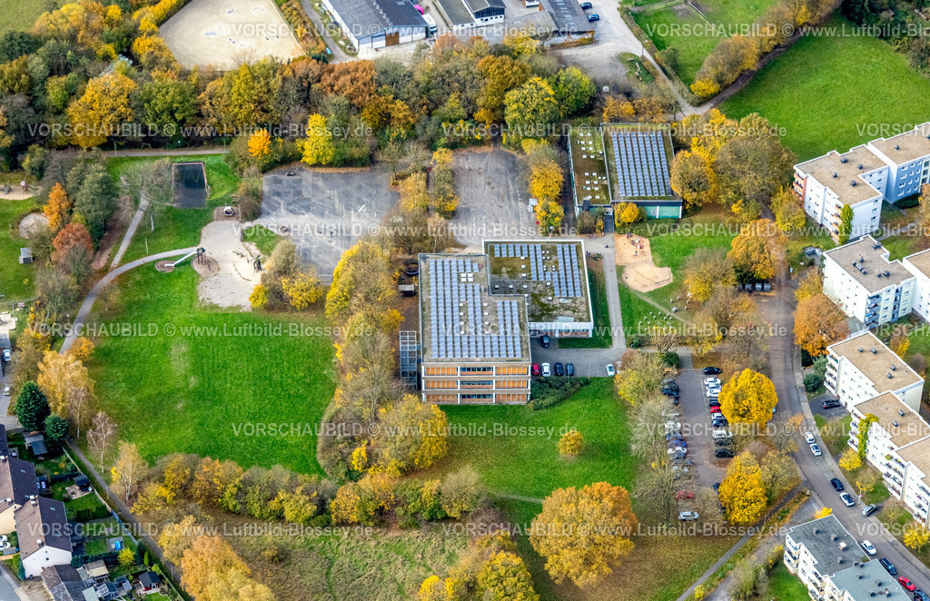 Hagen251101058 | Luftbild, Gemeinschaftsgrundschule Friedrich-Harkort, Schule Westerbauer mit Solardach, herbstliche Bäume, Haspe-West, Hagen, Ruhrgebiet, Nordrhein-Westfalen, Deutschland
