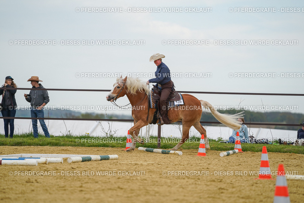 DSC02774 | Pferdegrafie