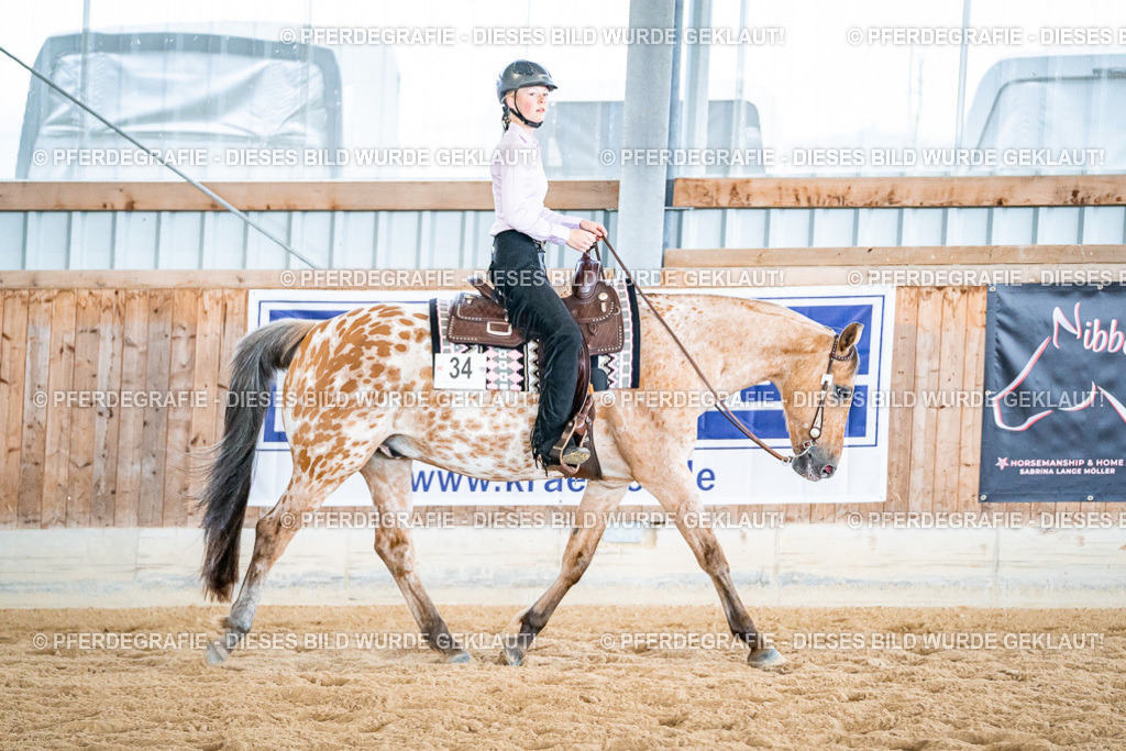 DSC02581 | Pferdegrafie