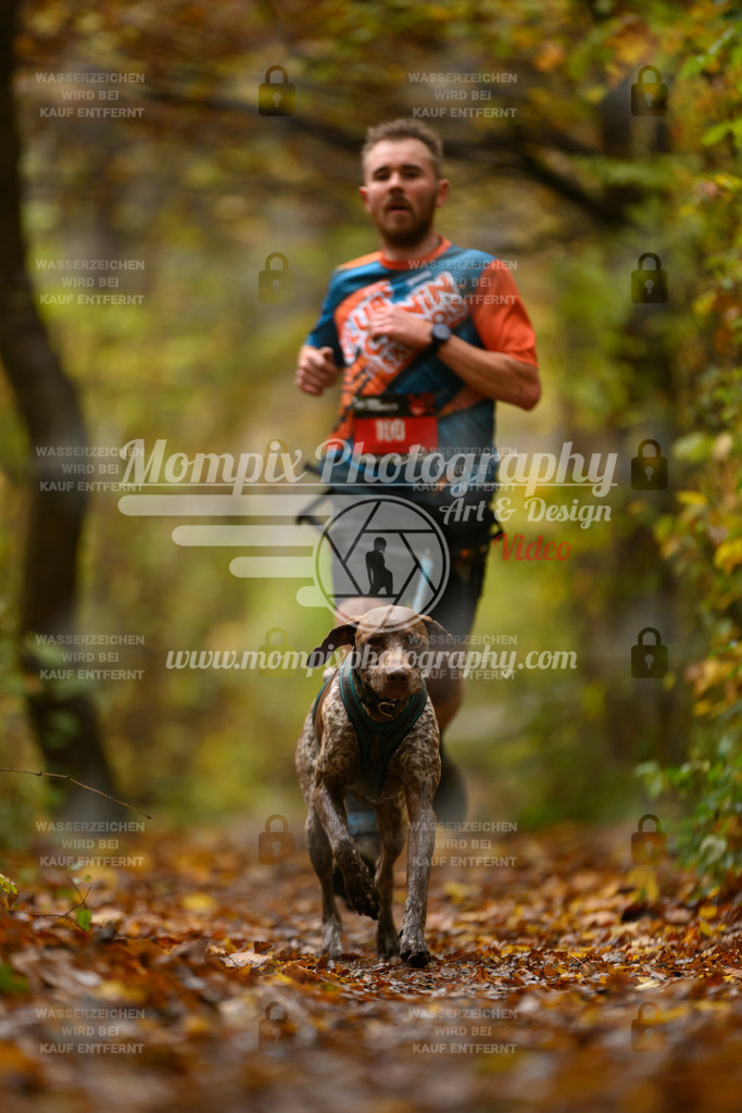 MompixPhotography_CD7S_DI_CCL-2 | mompixphotography