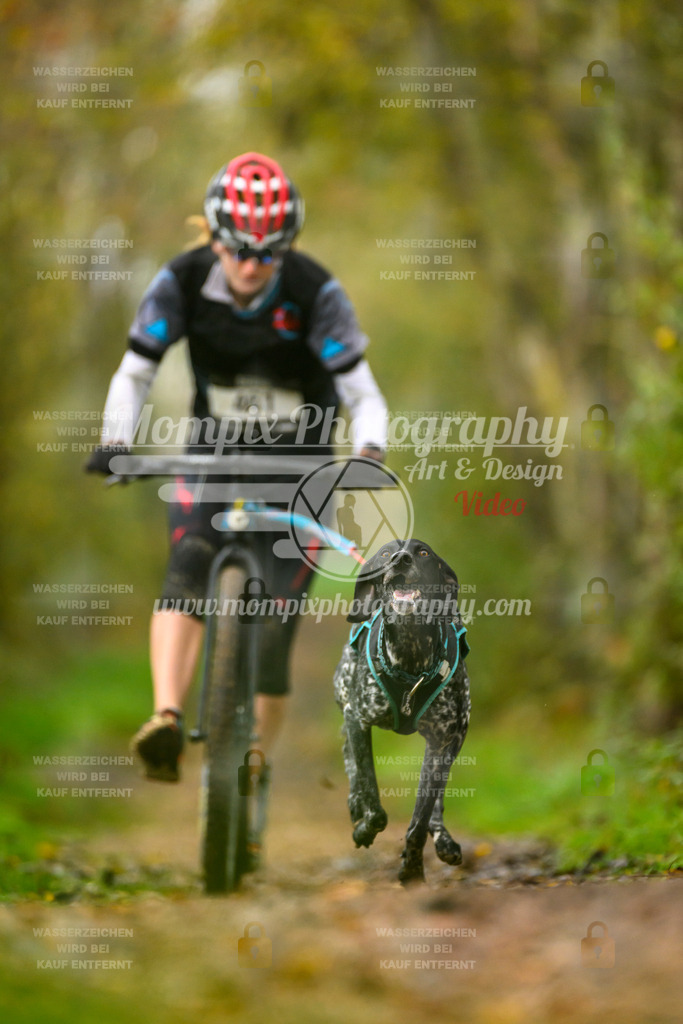 MompixPhotography_20TSB_E6_DS1-28 | PayLife