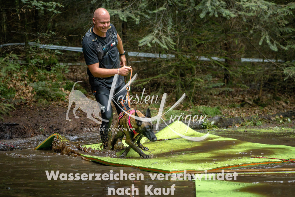 1540_ZZ91811-Bearbeitet | kk-dogfotos