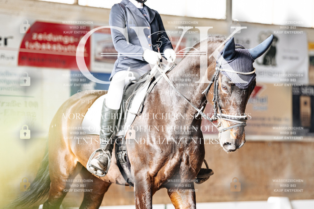 CK902347 | Turnierfotografie Pferdefotografie Trier Rheinland-Pfalz Pferdesport Reitsport Tierfotografie Sportfotografie Pferdevideo Pferdevideografie Equestrianvideography equestrianphotography  - Realisiert mit Pictrs.com