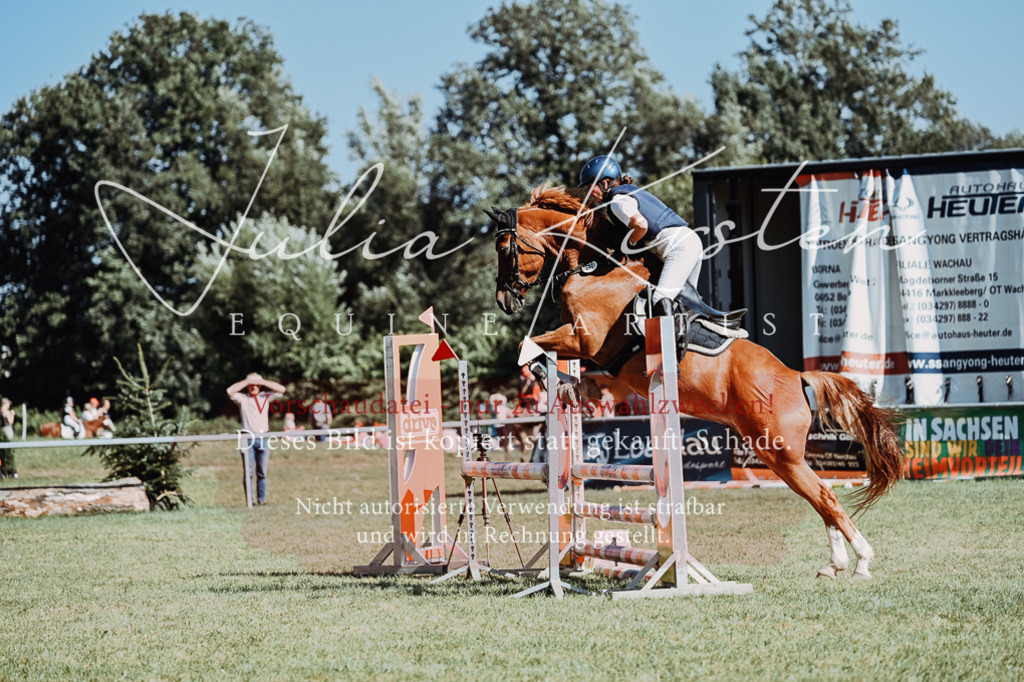 DSC_6939 | Pferde- und Turnierfotografie in Westsachsen. Pferdeportraits, Auftragszeichnungen und intuitive Kunst.