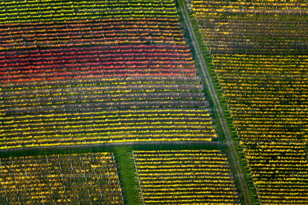 3905491 | Weinberge am Busigberg Großheubach