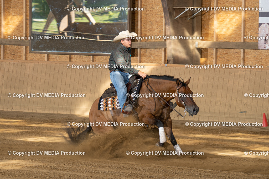 DSC00503 | dv-media-shop - Realisiert mit Pictrs.com