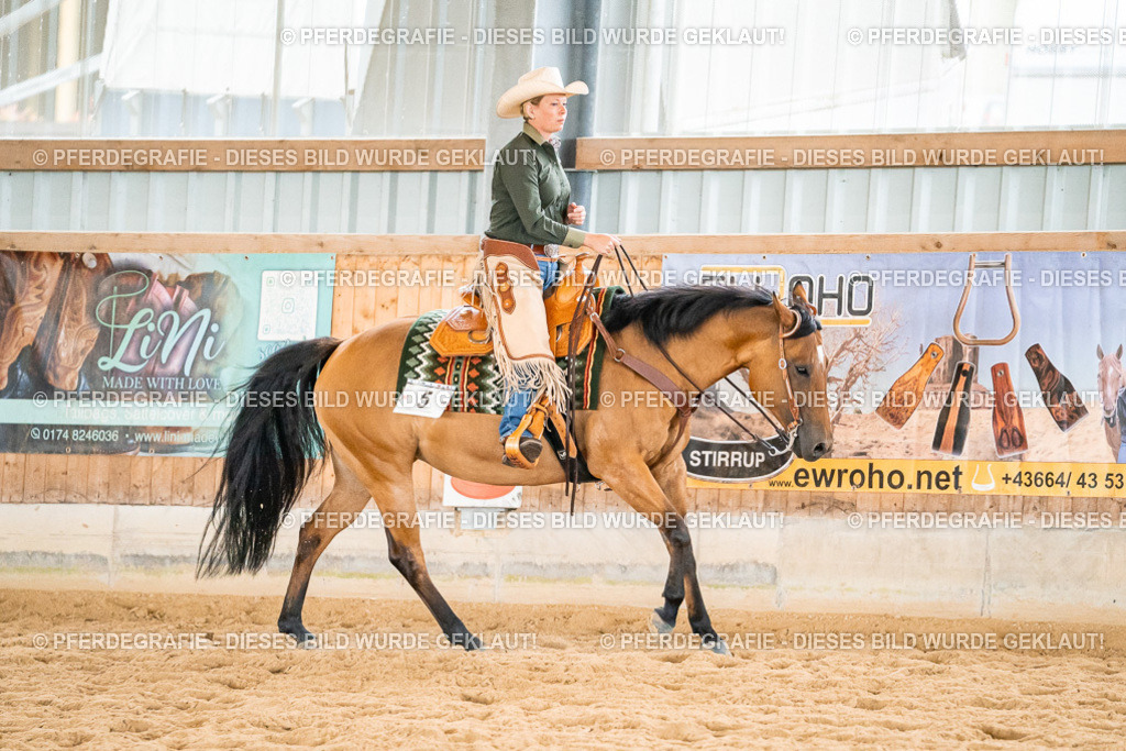 DSC01047 | Pferdegrafie