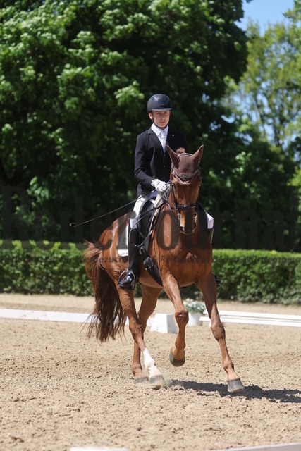 Böblingen_2025_Prfg.Nr.08_Dressurprüfung_Kl.M_Nürnberger Burgpokal_Lukas Bernhard_Dibelius (10) | Alle Fotos der Reiterjournal Fotografin Doris Matthaes im Reiterjournal Online-Fotoshop. - Realisiert mit Pictrs.com