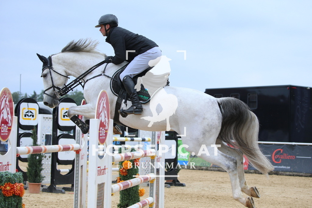 DL2Q3100 | Willkommen bei Brunnmayr - Design & Fotografie – Ihrem Spezialisten für Reitturniere und Pferdeveranstaltungen in Oberösterreich, Salzburg und Bayern! Seit über 17 Jahren sind wir leidenschaftlich dabei.