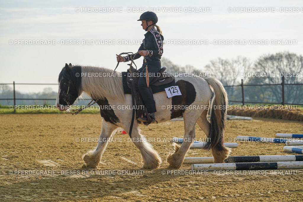 DSC00183 | Pferdegrafie