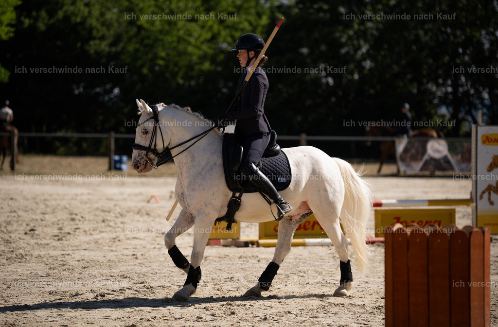 WM_ST_101_stoibphotography_SO10323 | working equitationturnier fotograf videograf stoibphotography marixx film working equitation deutschland reitsport turnierfotografie eventfotografie equestrian events