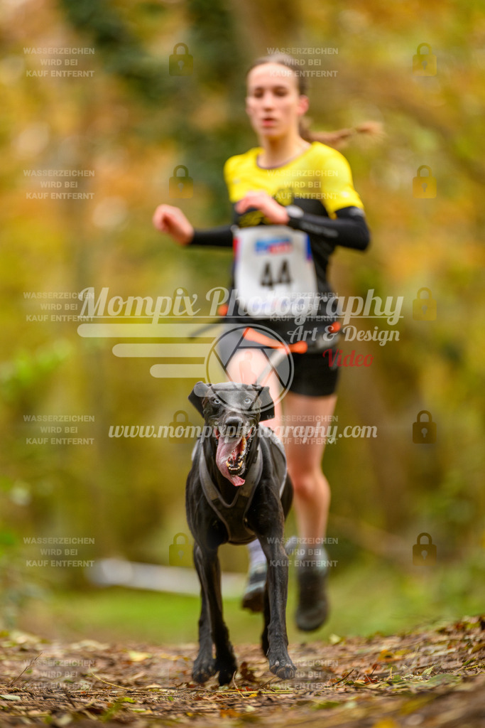 MompixPhotography_Bischwiller24_SA_Canicross-36 | PayLife