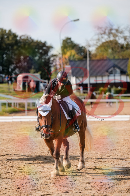 2026_10_03_Siefer-Hof_130543_Z63_69449200 | Professionelle Reitsport-, Turnier- und Eventfotografie von Robert Broda. Galerien mit ausgewählten und bearbeiteten Bildern direkt online ansehen und bestellen.