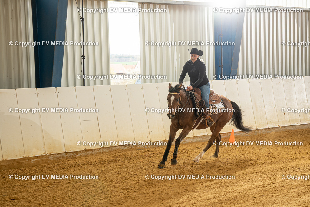 MIT00345 | dv-media-shop - Realisiert mit Pictrs.com