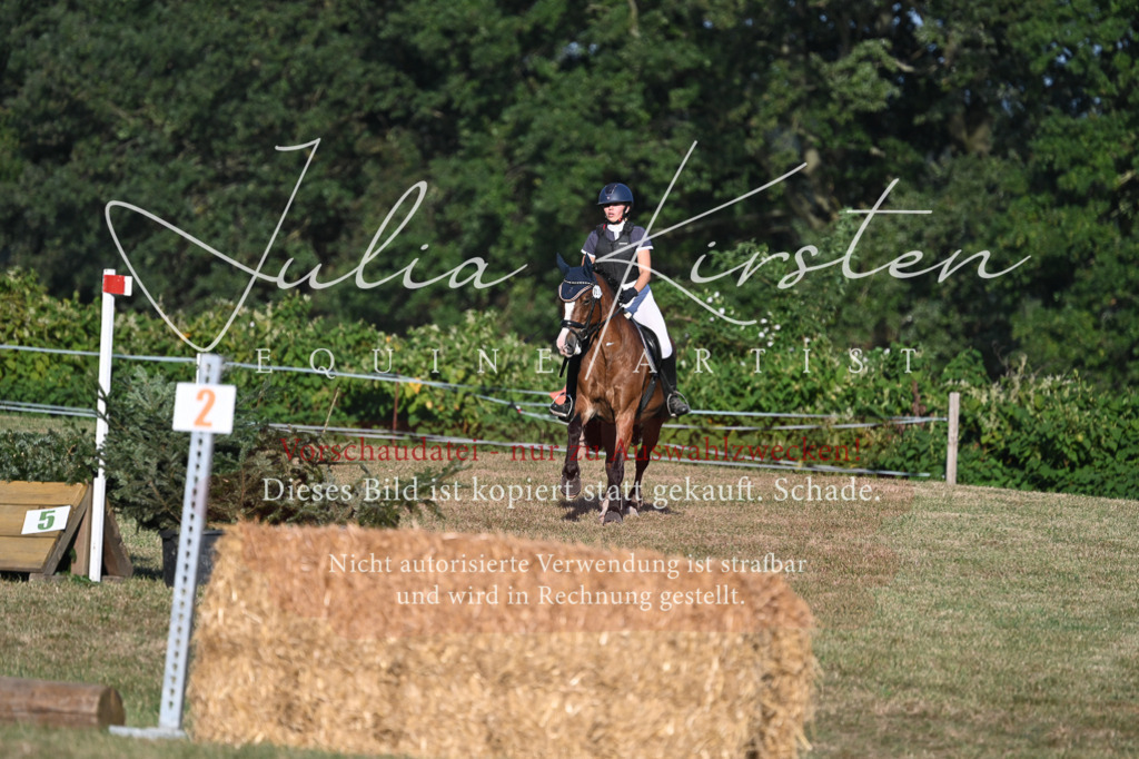 DSC_9102 | Pferde- und Turnierfotografie in Westsachsen. Pferdeportraits, Auftragszeichnungen und intuitive Kunst.