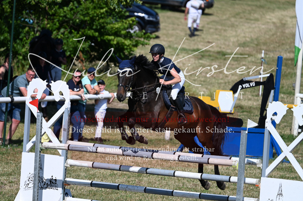 DSC_1848 | Pferde- und Turnierfotografie in Westsachsen. Pferdeportraits, Auftragszeichnungen und intuitive Kunst.