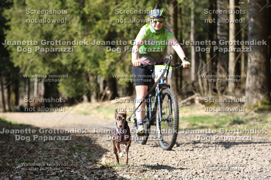 Dog Paparazzi - VCC26-241 | Dog Paparazzi Jeanette Grottendiek Fotografie & Videografie - Realisiert mit Pictrs.com