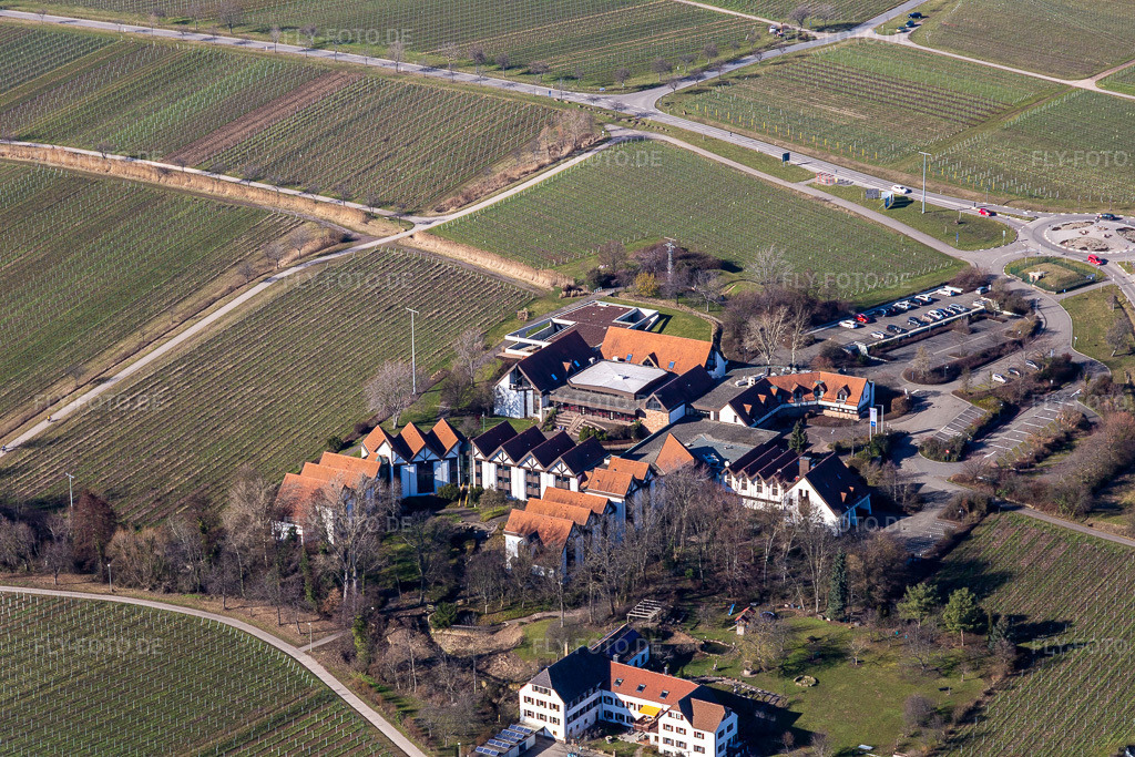 Luftbild: BG RCI im Ortsteil Alsterweiler in Maikammer im Bundesland Rheinland-Pfalz in Deutschland. Foto: IMG_125327.jpg vom 21.02.2021 durch Werner Riehm/FLY-FOTO.de