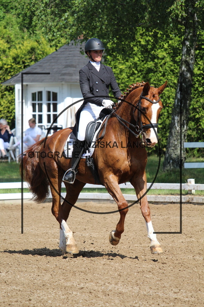 IMG_7115 | franziskalange - Realisiert mit Pictrs.com