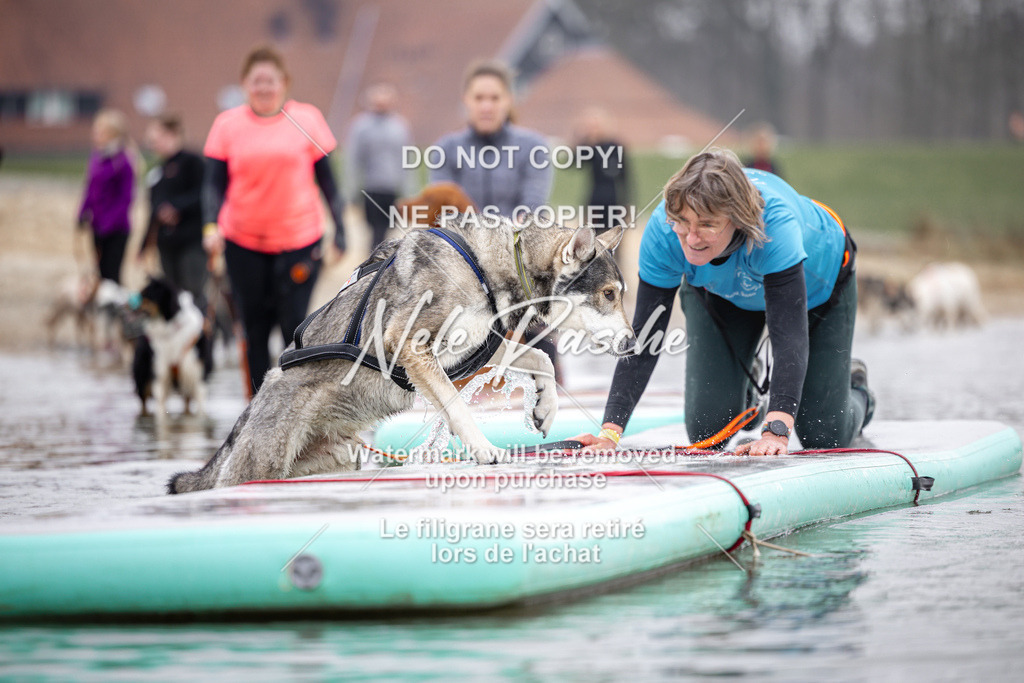 nelerasche_Hulsbeek_Sa1100-1130_744 | nelerasche