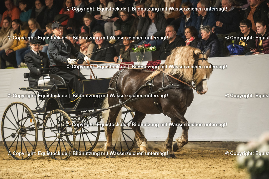 20240302_Hengstvorstellung_Marbach_TOMsPiC_0612-2 | equistock