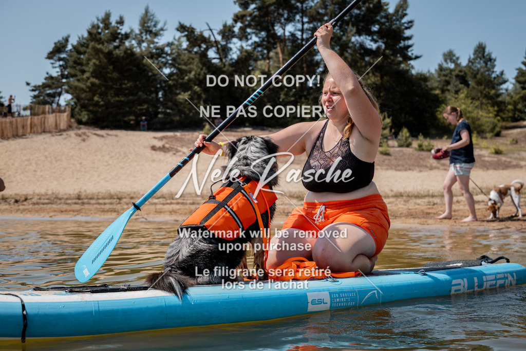 nelerasche_saSUP3_05 | nelerasche