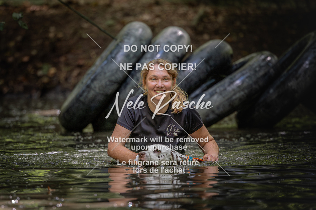 nelerasche_SaWingst1400-1500_441 | nelerasche