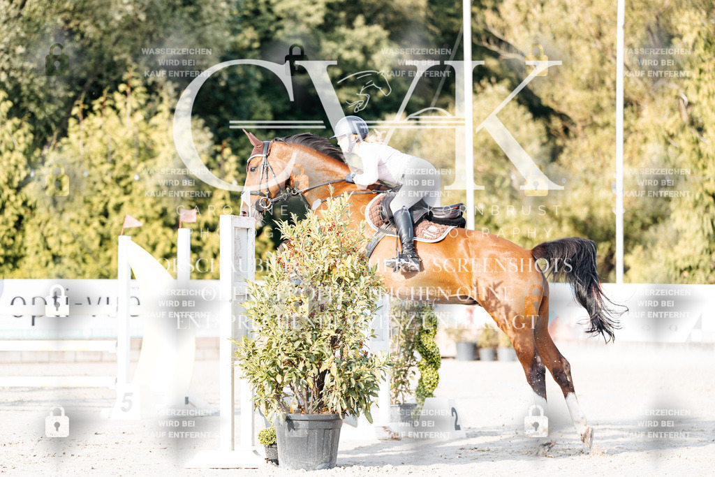 CK903311 | Turnierfotografie Pferdefotografie Trier Rheinland-Pfalz Pferdesport Reitsport Tierfotografie Sportfotografie Pferdevideo Pferdevideografie Equestrianvideography equestrianphotography  - Realisiert mit Pictrs.com