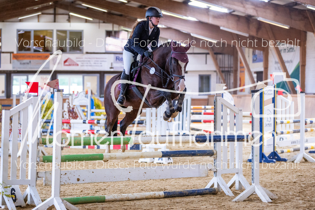 Sth-A-Springen-021 | MomenTaufnahmen Pferdesportfotos