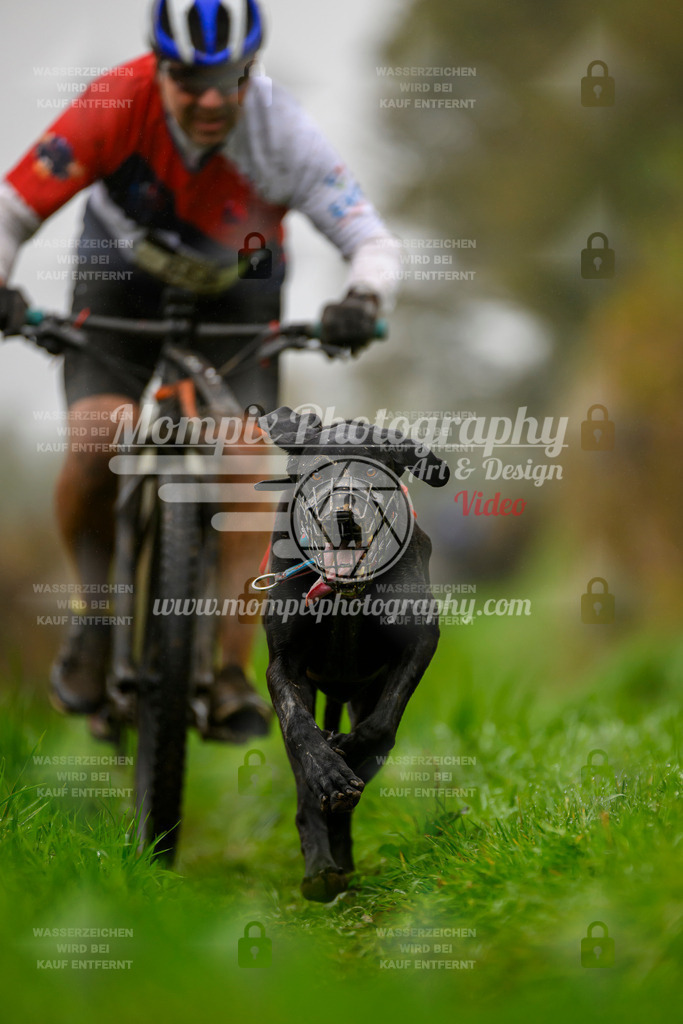 MompixPhotography_20TSB_E8_Bike-64 | PayLife