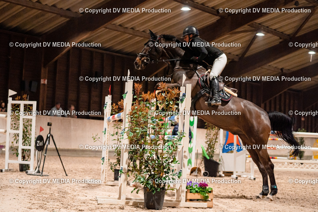 Springen Tag 2-913 | dv-media-shop - Realisiert mit Pictrs.com