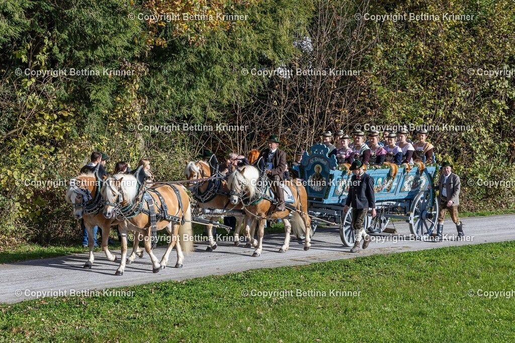 LBT24-833 | foto-bettina-krinner - Realisiert mit Pictrs.com